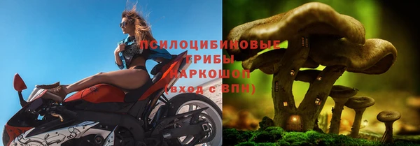 spice Осинники
