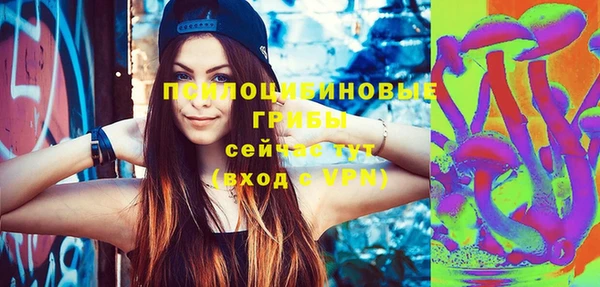 марки lsd Абаза