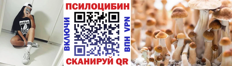 Галлюциногенные грибы прущие грибы купить цена мега ONION Юхнов